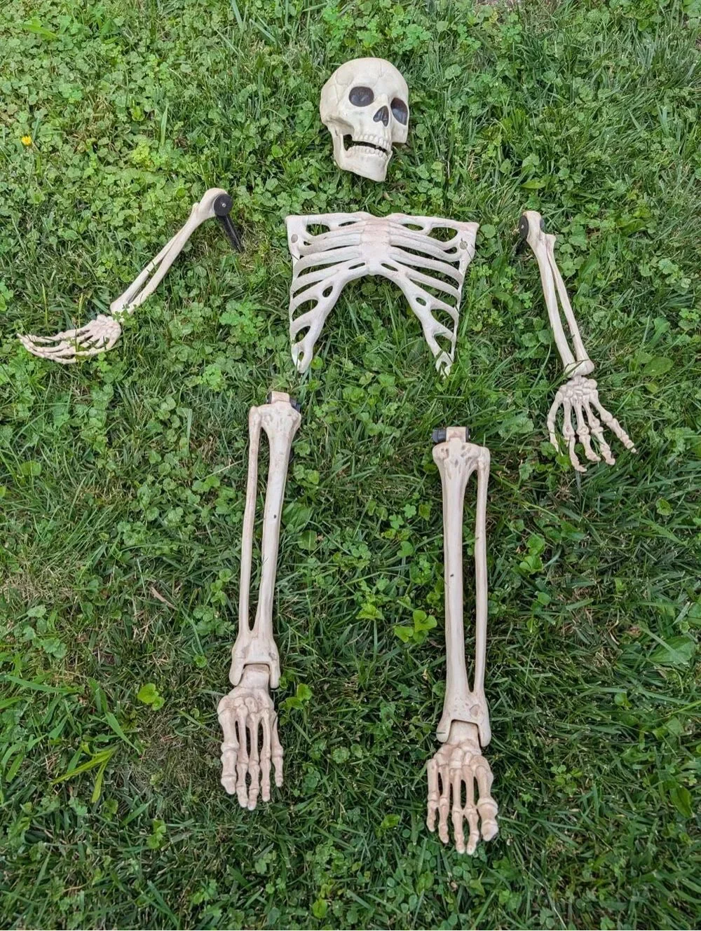 Lot of 2 Buried Alive Skeleton Halloween Decorations